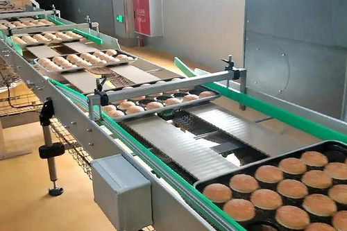 囍——恭祝四川食品廠十萬級凈化車間成功投產，邁向綠色健康新紀元